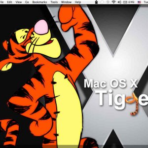 Jan Desktop.jpg