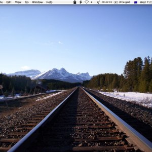 Picture-1.jpg