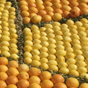 Menton-mix.jpg