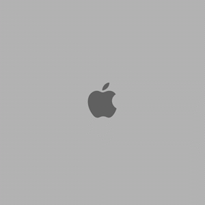 startup-screen.gif