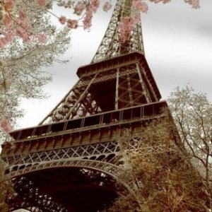 jwarren-Eiffel_spring.jpg