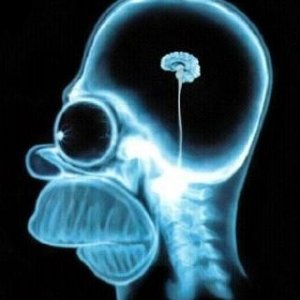 HomerBrain.jpg