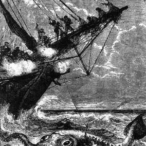 407px-Giant_squid_twenty_thousand_leagues_under_the_sea.jpg