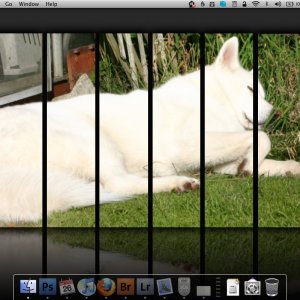 Screen shot 2010-01-26 at 17.44.35.jpg