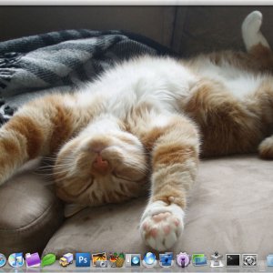 Screen-shot-2010-01-31-at-19.09.48.jpg