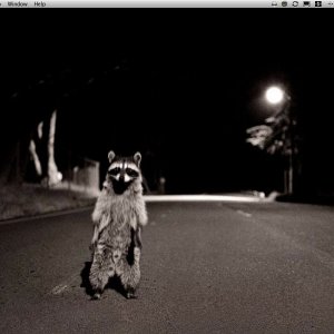 Screen capture 1.jpg