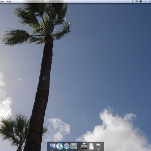 Screen shot 2010-03-28 at 4.47.31 PM.jpg