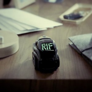 anki-vector.jpg
