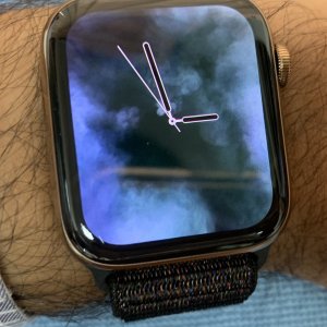Image-2.jpeg