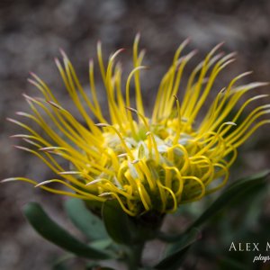 (2018-10-03 12-29-13)Canon Canon EOS 6D(5472x3648).jpg