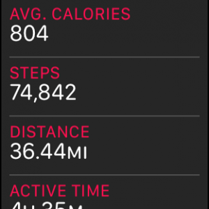 steps.PNG