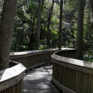 Blue Springs 2 - 1500px.jpg