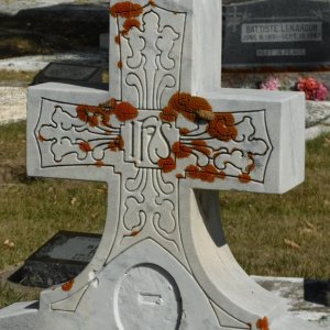 DSCF0915.jpg