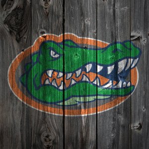 florida_gators_wood2.jpg