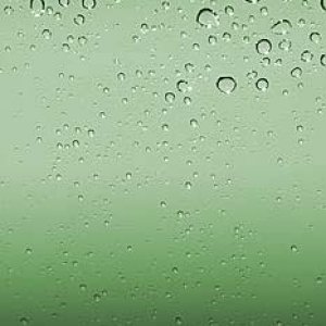 green.jpg