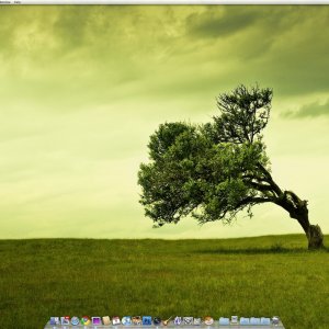 Screen shot 2010-08-07 at 4.33.25 PM.jpg