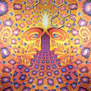lsd1.jpg