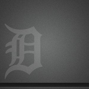 tigers.jpg