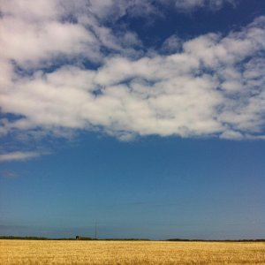 ImageUploadedByTapatalk1311715071.081269.jpg