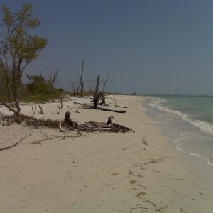 IMG00031.jpg