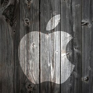 wood apple logo.jpg