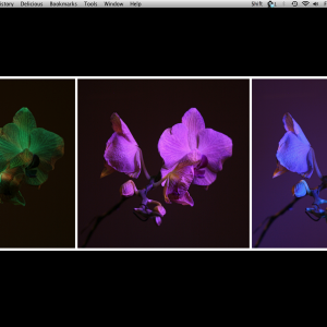 Screen shot 2011-09-09 at 12.48.42 PM.png