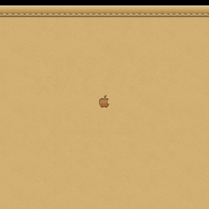 brown leather3.png