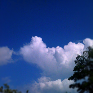 Sky.png