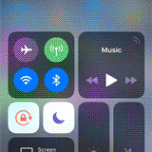 scan.gif