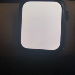 81C07959-8D98-452E-B0BF-8196E14F96AC.jpeg