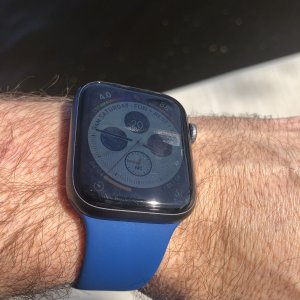 IMG_2765.jpeg