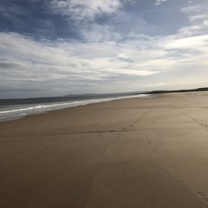 IMG_4803.jpg