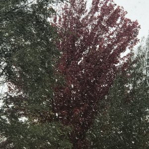 4D52D710-C216-49F2-B2D2-D71FC3AE65C8.jpeg