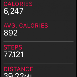 steps.PNG