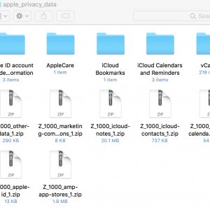 Apple_Privacy_Data.jpeg