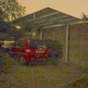 low-light-3.jpg