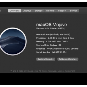 Screen Shot 2018-10-27 at 12.59.32 PM.png
