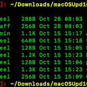 Screen Shot 2018-10-28 at 8.07.37 AM.png