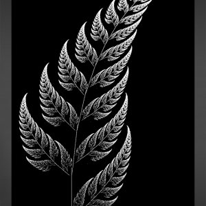Silver Fern.jpg
