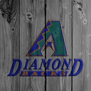 AZ Diamondbacks 02.jpg