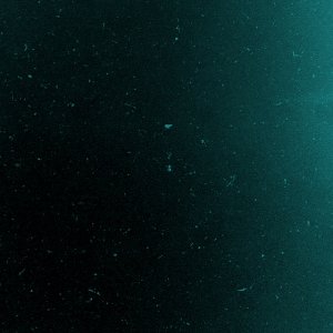 Dark Green.jpg