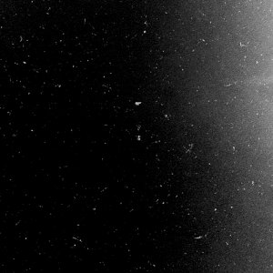 Black White.jpg