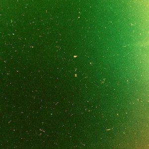 Green 02.jpg