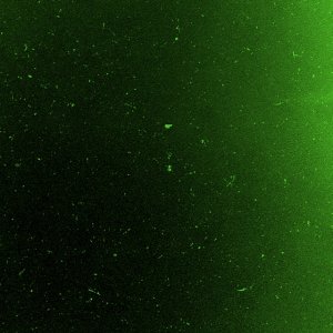 Green 03.jpg