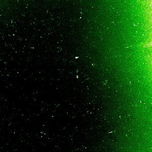Green 04.jpg