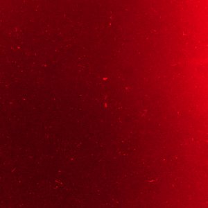 Red 01.jpg