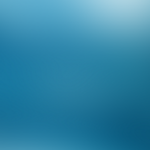 iPhone 5light.png