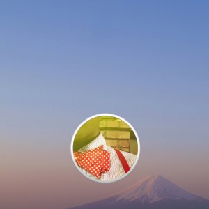 Mountain logon 04.jpg