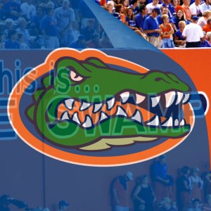 Gators Swamp 01.jpg