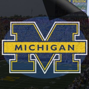 Michigan Wolverines.jpg